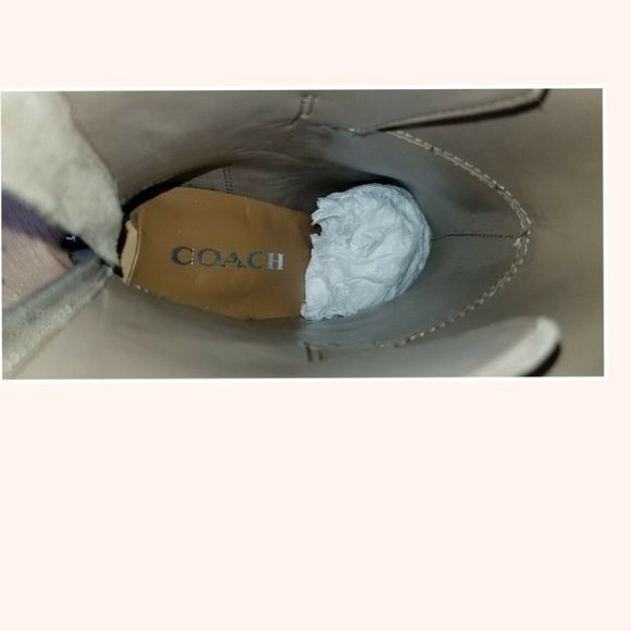 Coach Jessie Light Gray Suede Pointed-Toe Booties - Picture 9 of 11